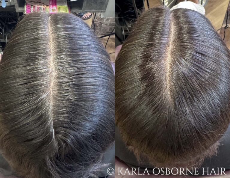 Karla Osborne Gray Blending on Dark Hair Client 768x594