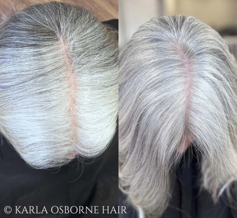 Karla Osborne Gray Blending on Gray White Hair Client 768x705