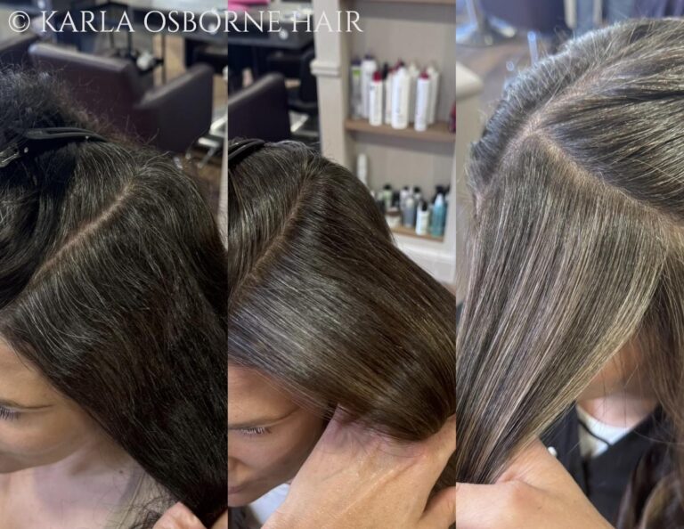 Karla Osborne Gray Blending on Very Dark Brown Hair Client 768x594